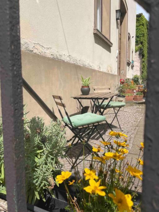 Villa Kunterbunt Gera Exterior photo